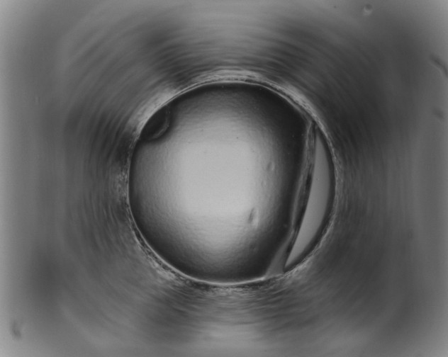 X0000099960953200806061603