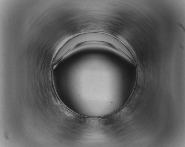 X0000099960956200806061603