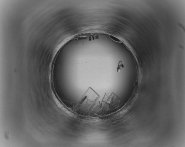X0000099960957200806061603