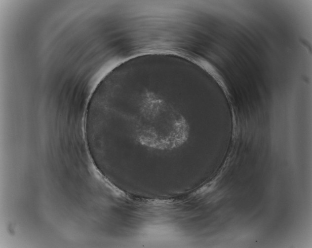 X0000099960958200806061603