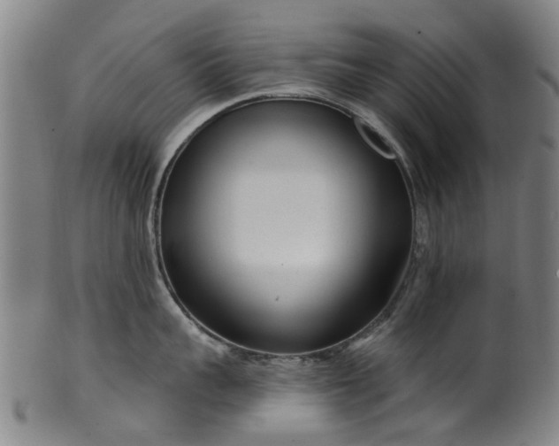X0000099960959200806061603