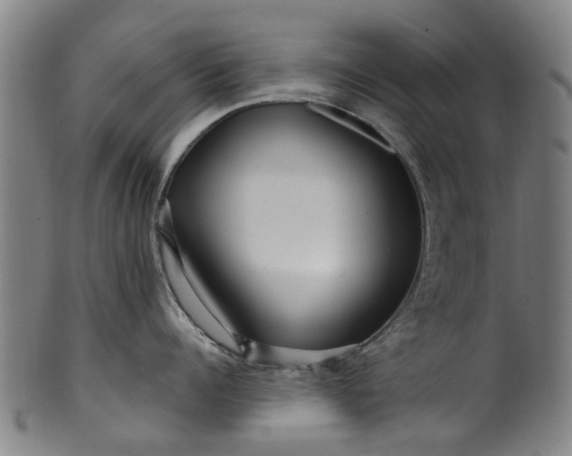 X0000099960960200806061603