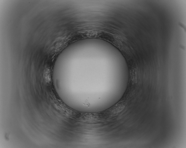 X0000099960962200806061602