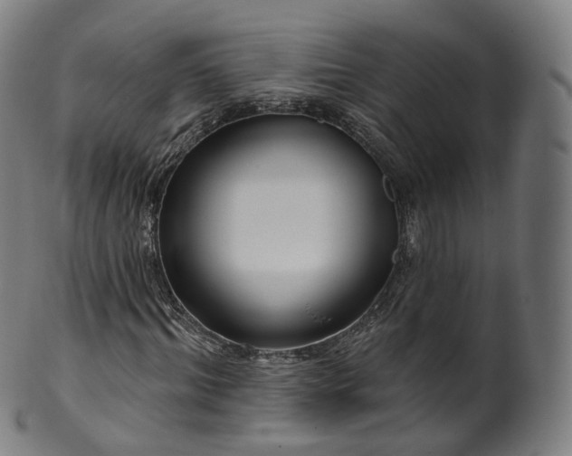 X0000099960964200806061602