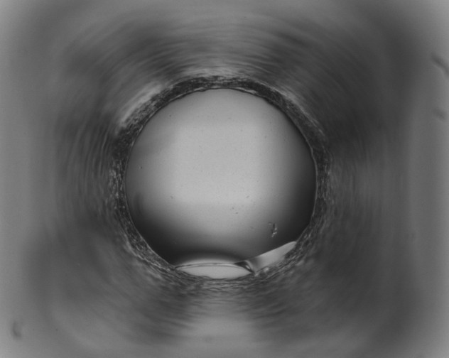X0000099960967200806061602
