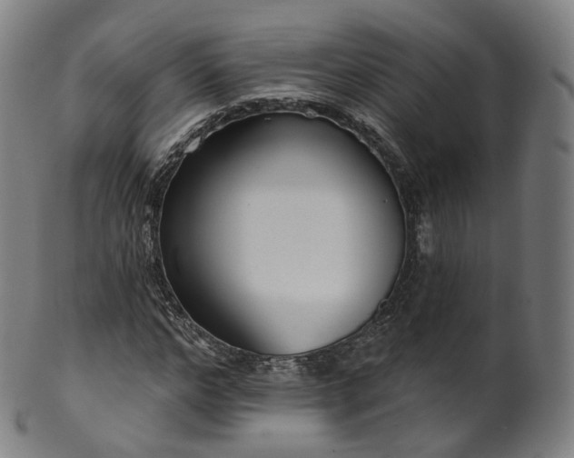 X0000099960968200806061602