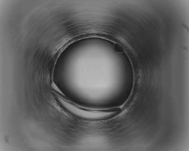X0000099960969200806061602