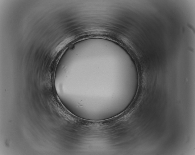 X0000099960970200806061602