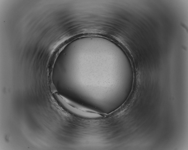 X0000099960971200806061602