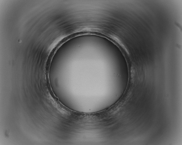 X0000099960972200806061602