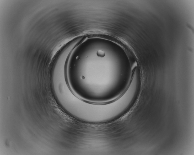 X0000099960973200806061602