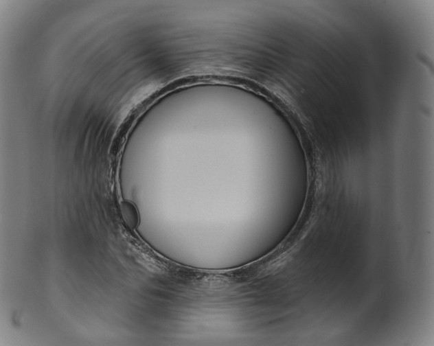 X0000099960974200806061602