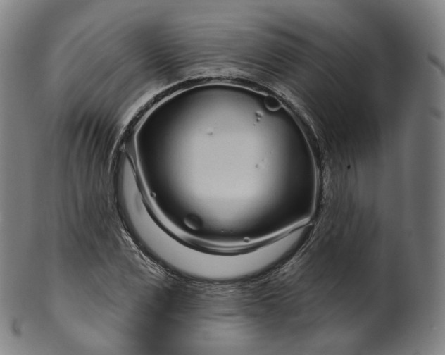 X0000099960975200806061602