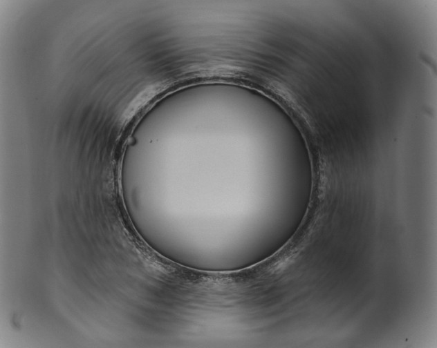X0000099960978200806061602