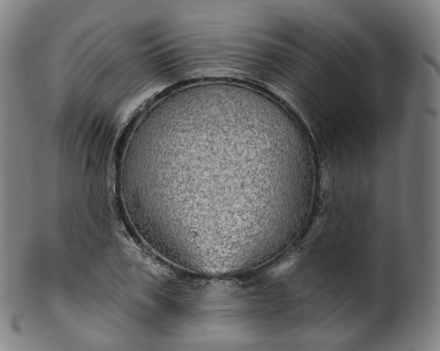 X0000099960979200806061602