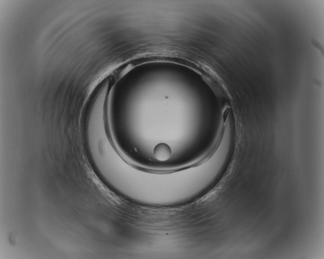 X0000099960981200806061602