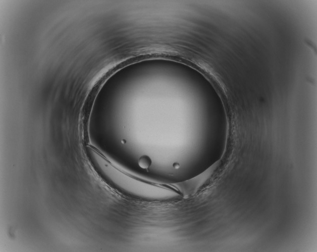 X0000099960983200806061602