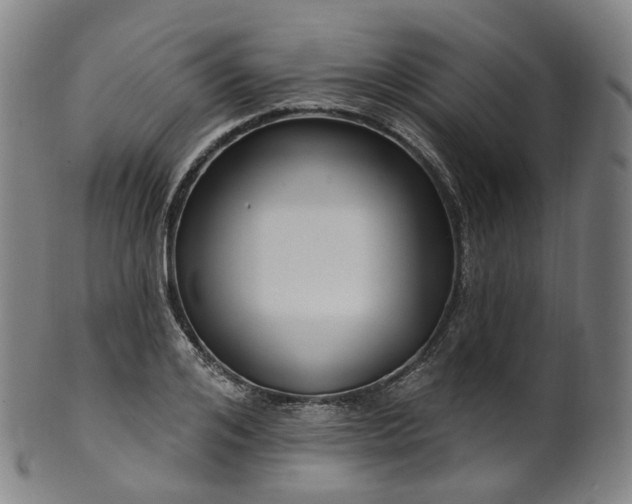 X0000099960984200806061602