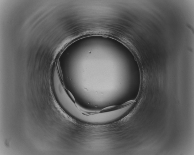 X0000099960989200806061601
