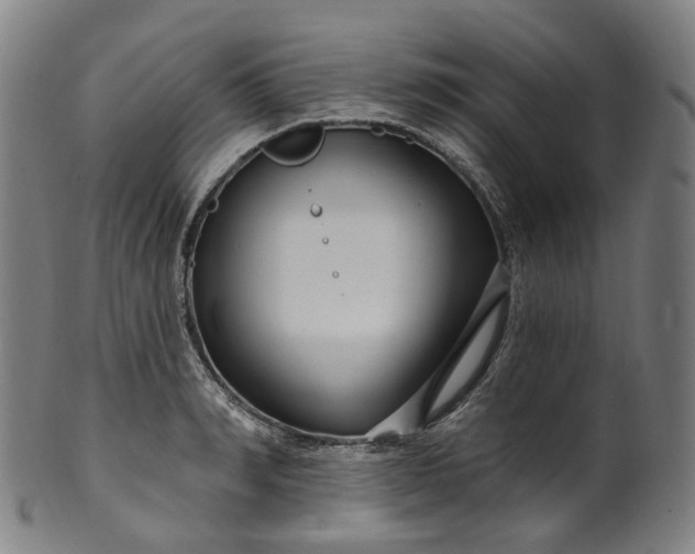 X0000099960990200806061601