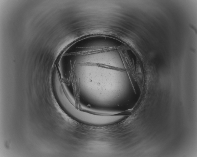 X0000099960991200806061601