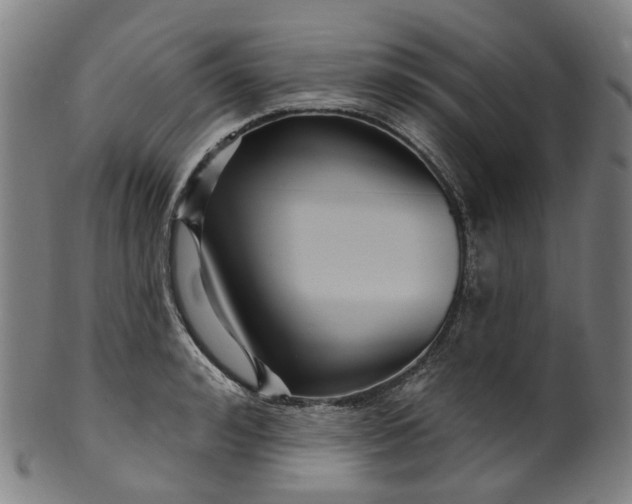X0000099960992200806061601