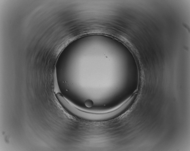 X0000099960993200806061601
