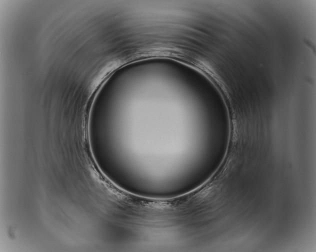 X0000099960994200806061601