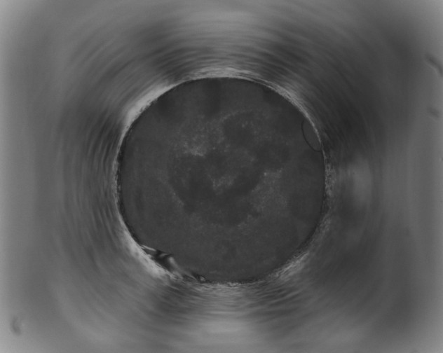X0000099960995200806061601