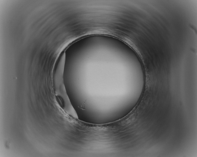 X0000099960996200806061601