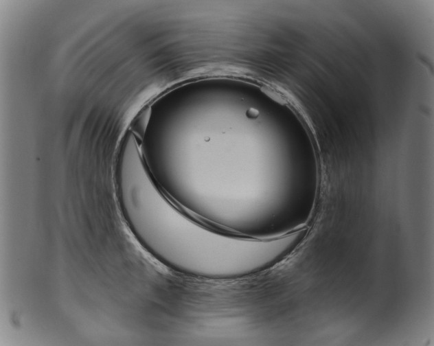 X0000099960997200806061601