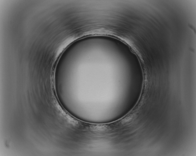 X0000099960998200806061601