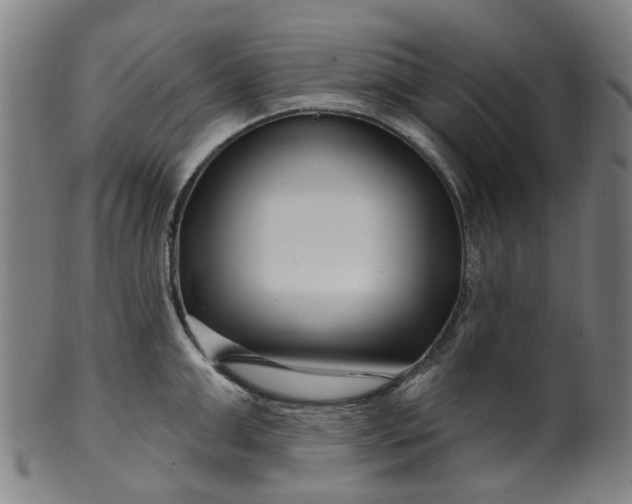 X0000099960999200806061601
