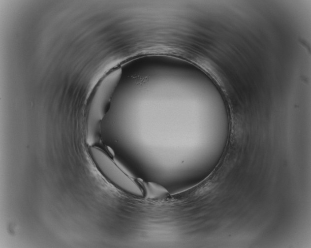 X0000099961000200806061601