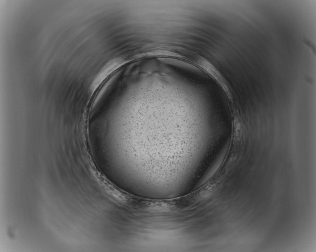 X0000099961002200806061601
