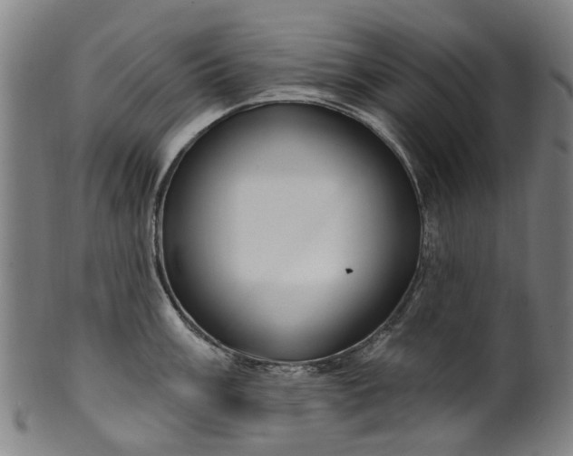 X0000099961003200806061601