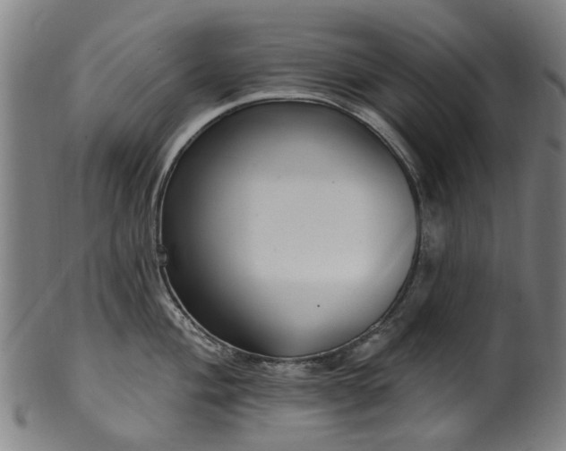 X0000099961004200806061601