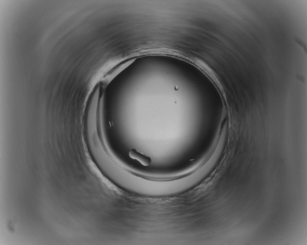 X0000099961005200806061601
