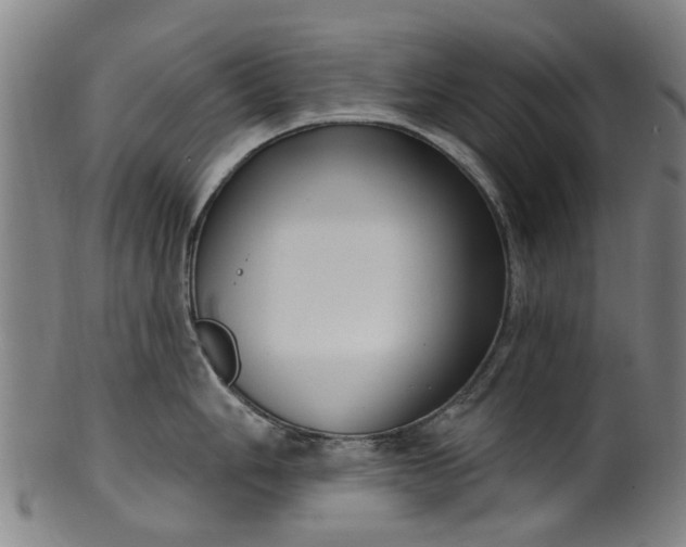 X0000099961006200806061601