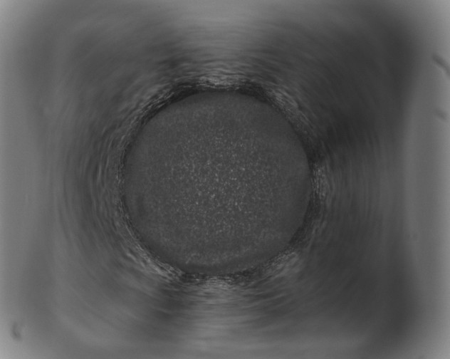 X0000099961009200806061600