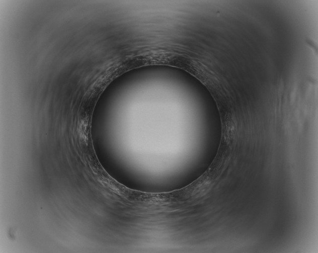 X0000099961010200806061600