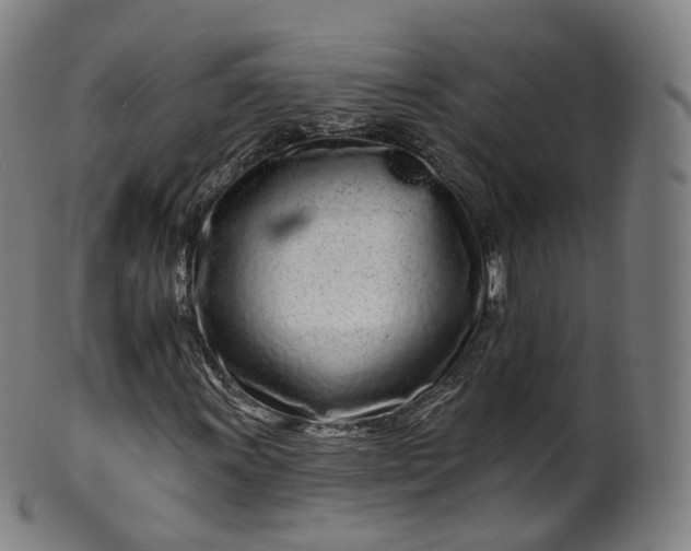 X0000099961011200806061600