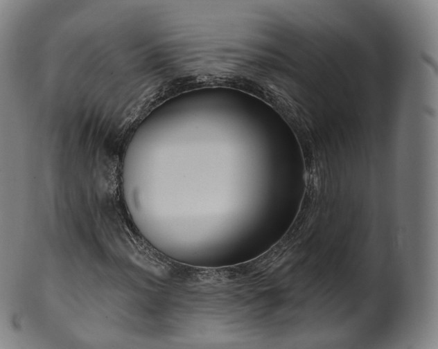 X0000099961012200806061600