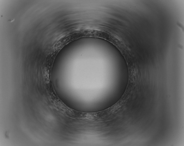 X0000099961013200806061600