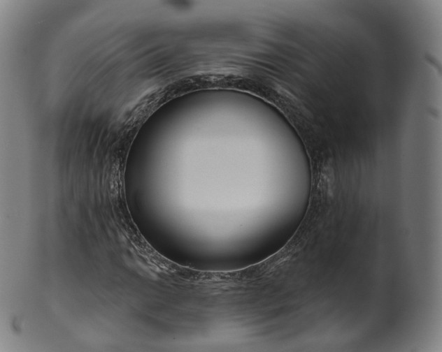 X0000099961014200806061601