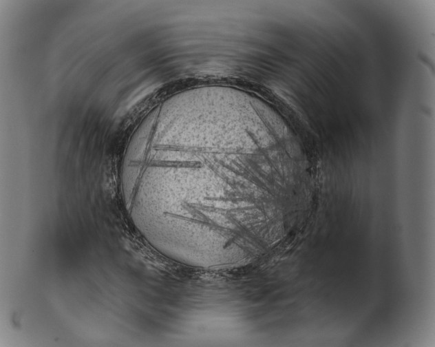 X0000099961015200806061601