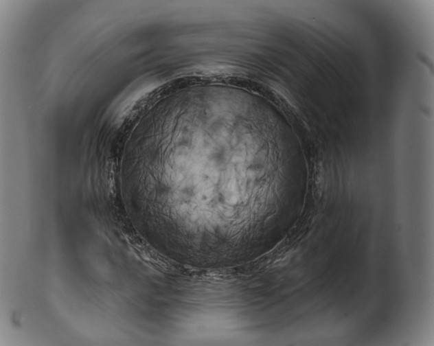 X0000099961016200806061601