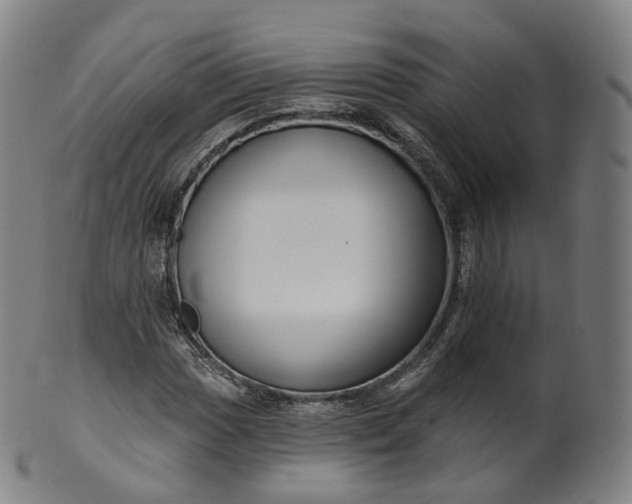 X0000099961017200806061601