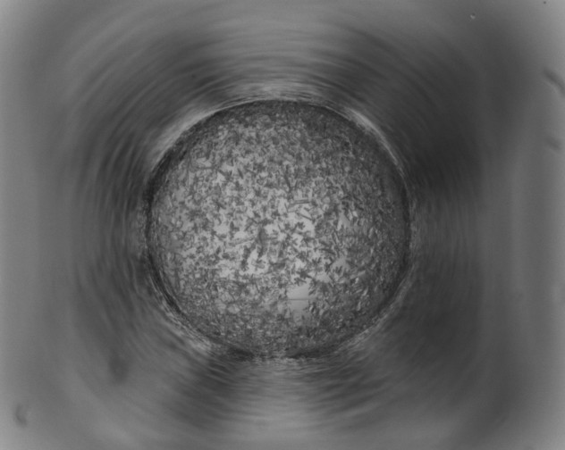 X0000099961019200806061601