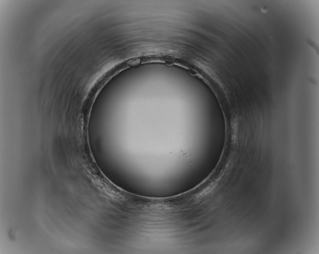 X0000099961021200806061601